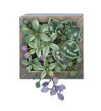 The Gray version of Wall Planter