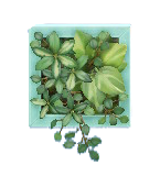 The Light Blue version of Wall Planter