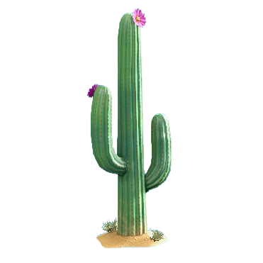 The Blooming version of Cactus