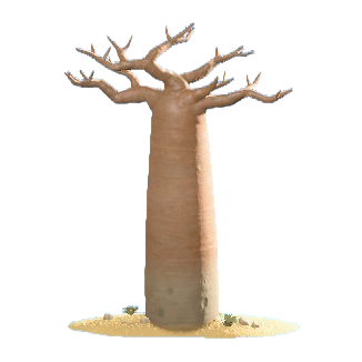 The Bare version of Baobab