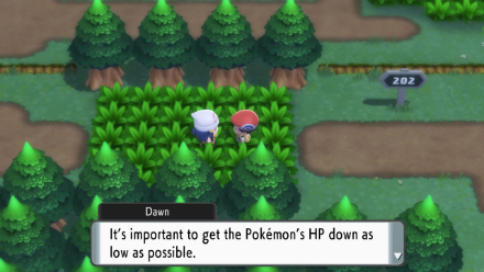 BDSP - Dawn Teaches Catching Pokemon.png
