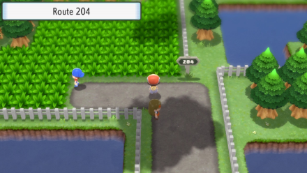 BDSP - Route 204