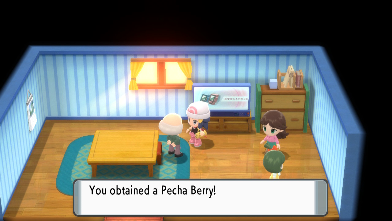 Pokemon BDSP Berry Master