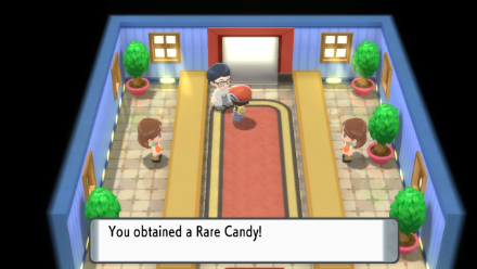 BDSP - Obtain Rare Candy.png