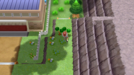 BDSP - Path to Wayward Cave.png