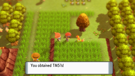 BDSP - Obtain Roost TM.png