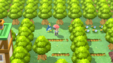 Path to Ball Capsule Boy