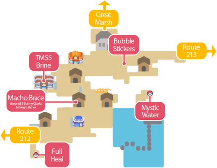 Pokemon BDSP - Pastoria City Map and Items