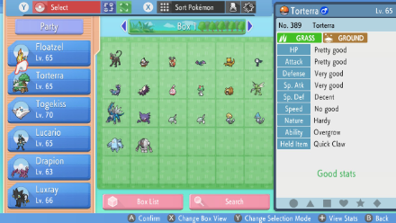 BDSP - Checking Pokemon IVs.png