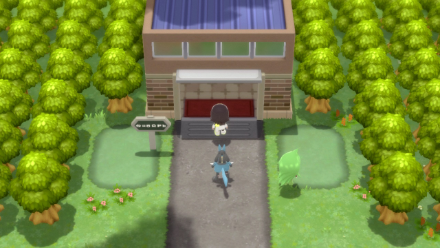 BDSP - Path to Battle Tower.png