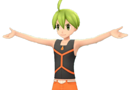 Pokemon BDSP Elite Four Aaron