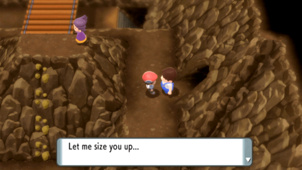 Victory Road Route 224 Path