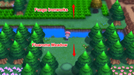 Fuego Ironworks Entrance to Floaroma Meadow