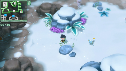 Pokemon BDSP - Whiteout Cave