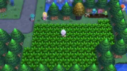 BDSP - Route 218 Grass.png