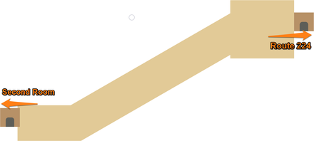 Pokemon BDSP Victory Road National Dex Map 3