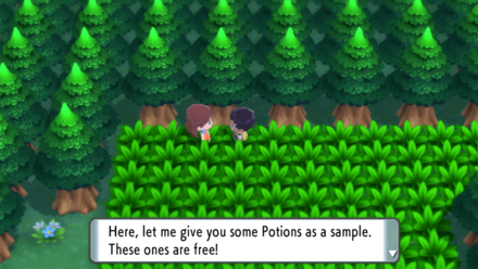 Route 201 Potion