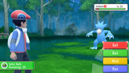 Great Marsh Encounter