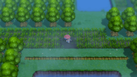 Great Marsh Sinking in Bog