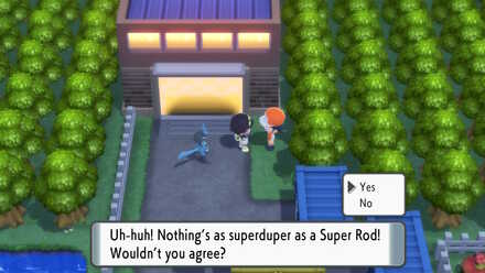 BDSP - Obtain the Super Rod.jpg