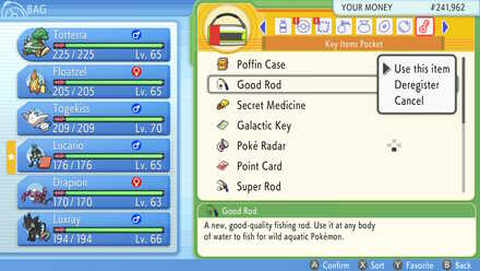 BDSP - Use the Fishing Rod.jpg