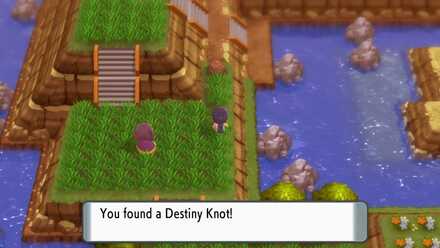 Destiny Knot Location