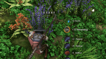 New World - Gather Hyssop
