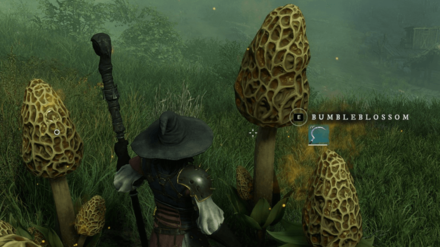 New World - Harvest Bumbleblossoms