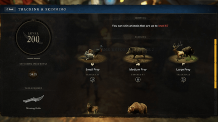New World - 200 Tracking and Skinning