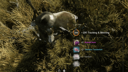 New World - Gather Thick Hide from Mid-Game Regions