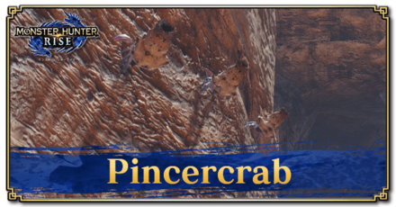 Monster Hunter Rise (MH Rise) - Pincercrab Banner