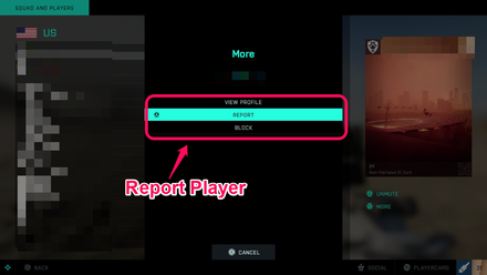 Battlefield 2042 - Report Player