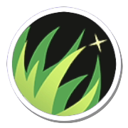 Pokemon Unite - Overgrow (Venusaur)