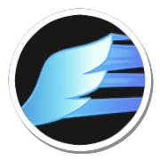 Pokemon UNITE - Gale Wings Icon