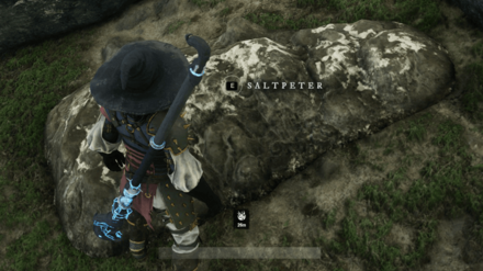 New World - Gather Saltpeter for Gunpowder