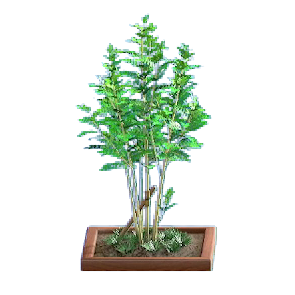 The Brown version of Evergreen Ash