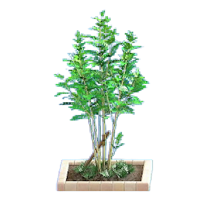 The White version of Evergreen Ash