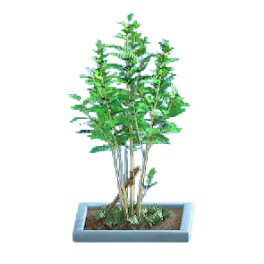 The Blue version of Evergreen Ash
