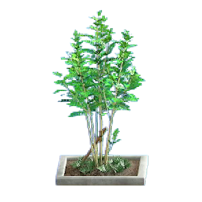 The Gray version of Evergreen Ash