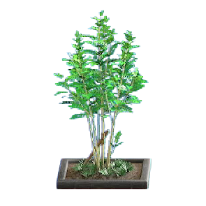 The Black version of Evergreen Ash