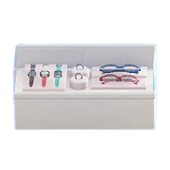 Glass Showcase Image