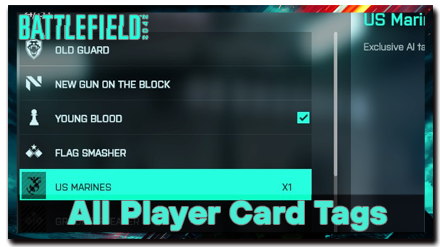 Battlefield 2042 - All Player Card Tags.png