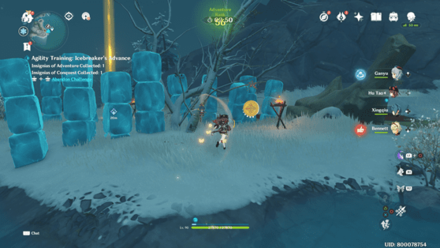 Genshin Impact - Agility Training Stage 3 - Insignia of Conquest