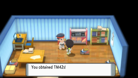 BDSP - Get Facade TM at the Survival Area