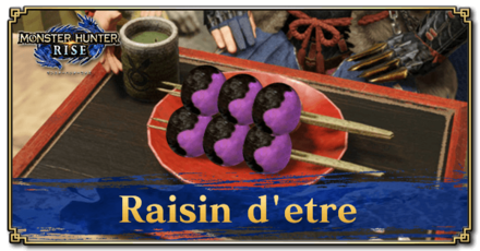Monster Hunter Rise (MH Rise) - Raisin D