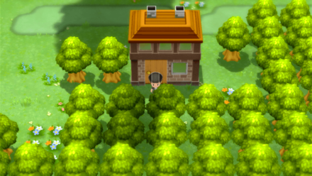 Scarf Guy Pastoria City.png