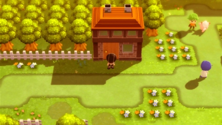 Berry Woman in Pastoria City.png