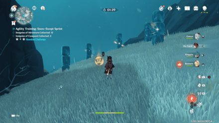 Genshin Impact - Agility Training Stage 4 - Ironskin