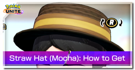 Pokemon Unite - Trainer Skin Straw Hat (Mocha) Top Image