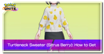 Pokemon Unite - Trainer Skin Turtleneck Sweater (Sitrus Berry) Top Image